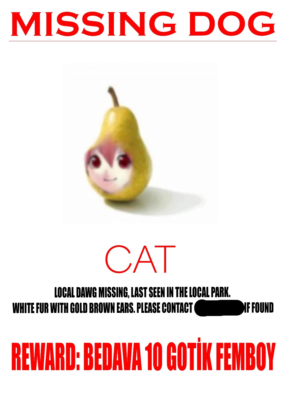 Game Media